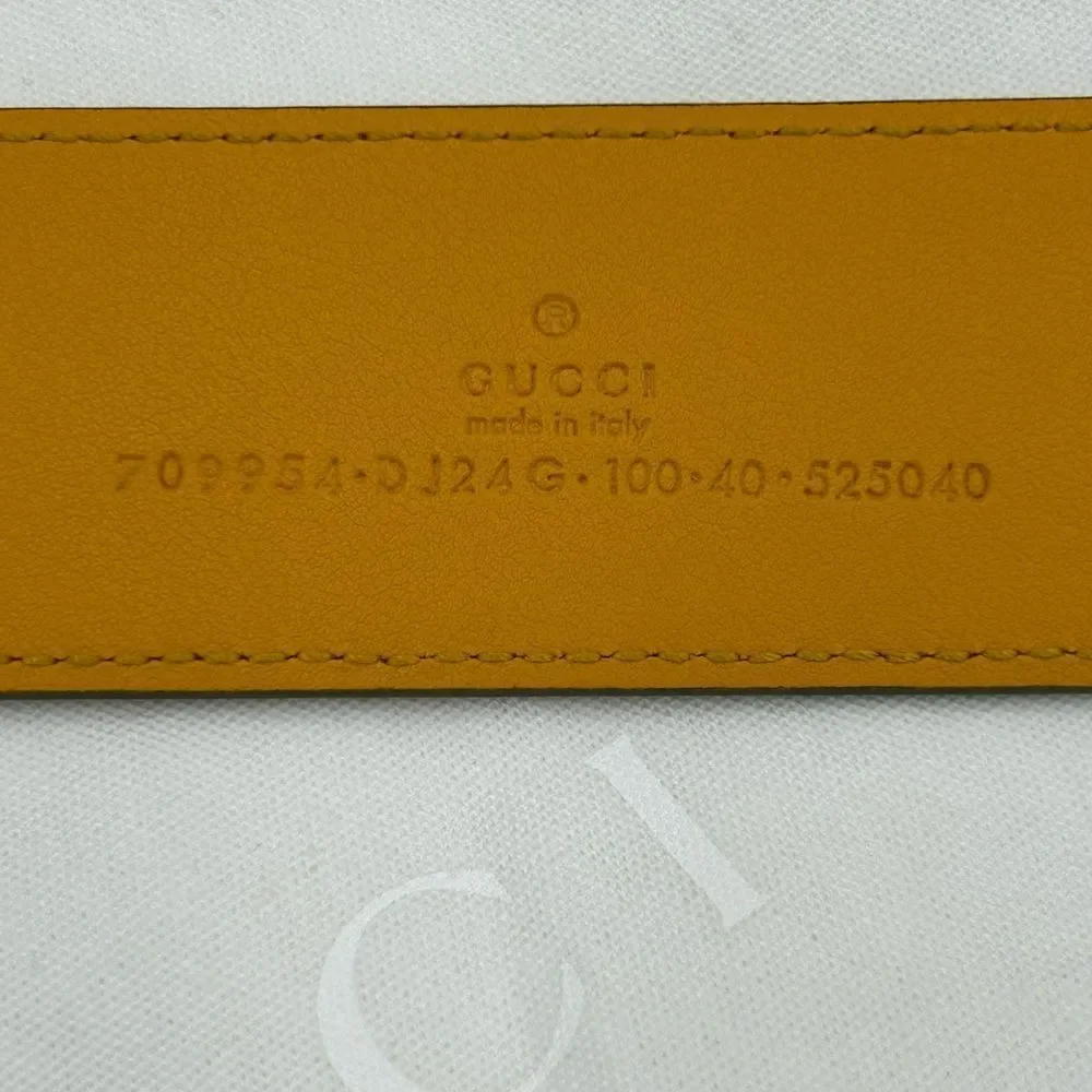 Gucci absolutely new